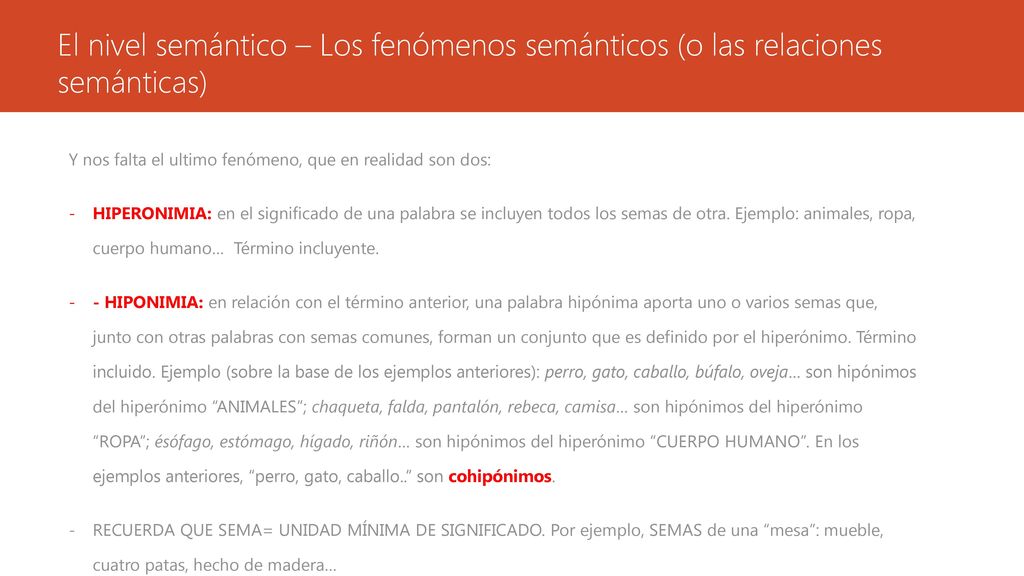 El nivel semántico – Los fenómenos semánticos (o las relaciones semánticas)