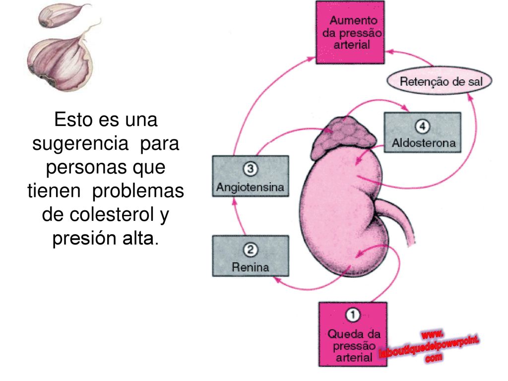 Esto es una sugerencia para personas que tienen problemas de colesterol y presión alta.