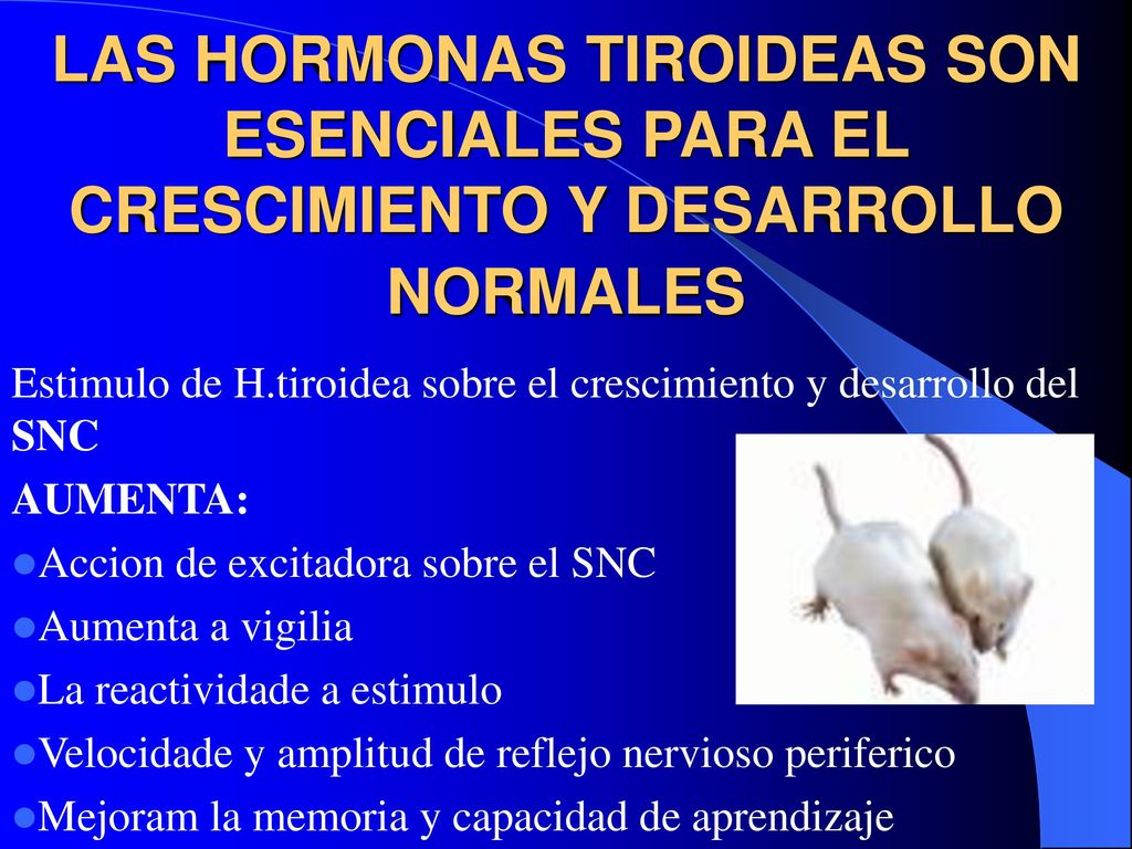 LAS HORMONAS TIROIDEAS SON ESENCIALES PARA EL CRESCIMIENTO Y DESARROLLO NORMALES
