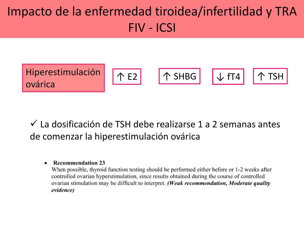 Impacto de la enfermedad tiroidea/infertilidad y TRA FIV - ICSI