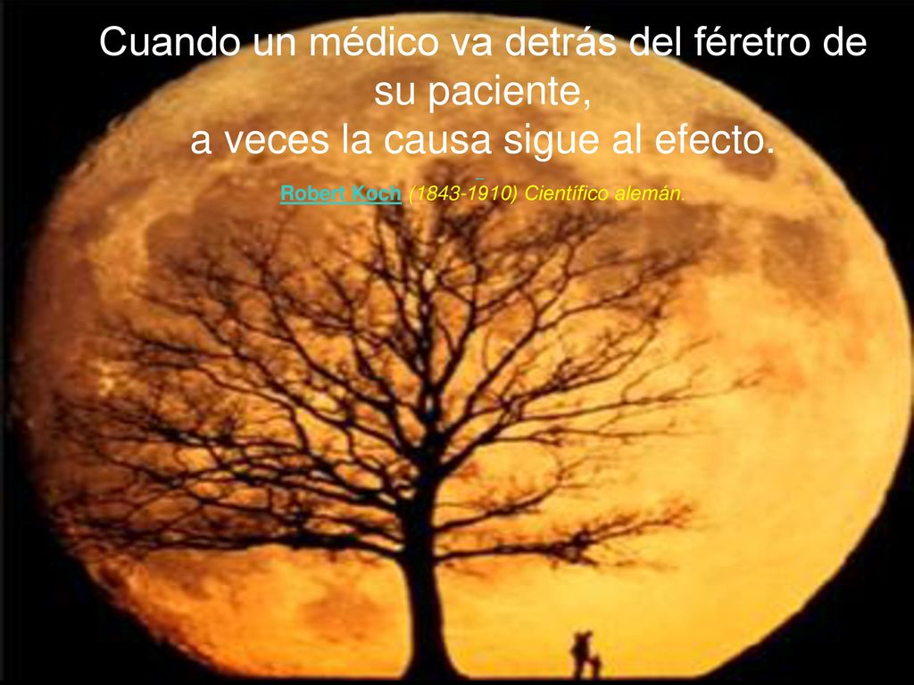 Cuando un médico va detrás del féretro de su paciente,