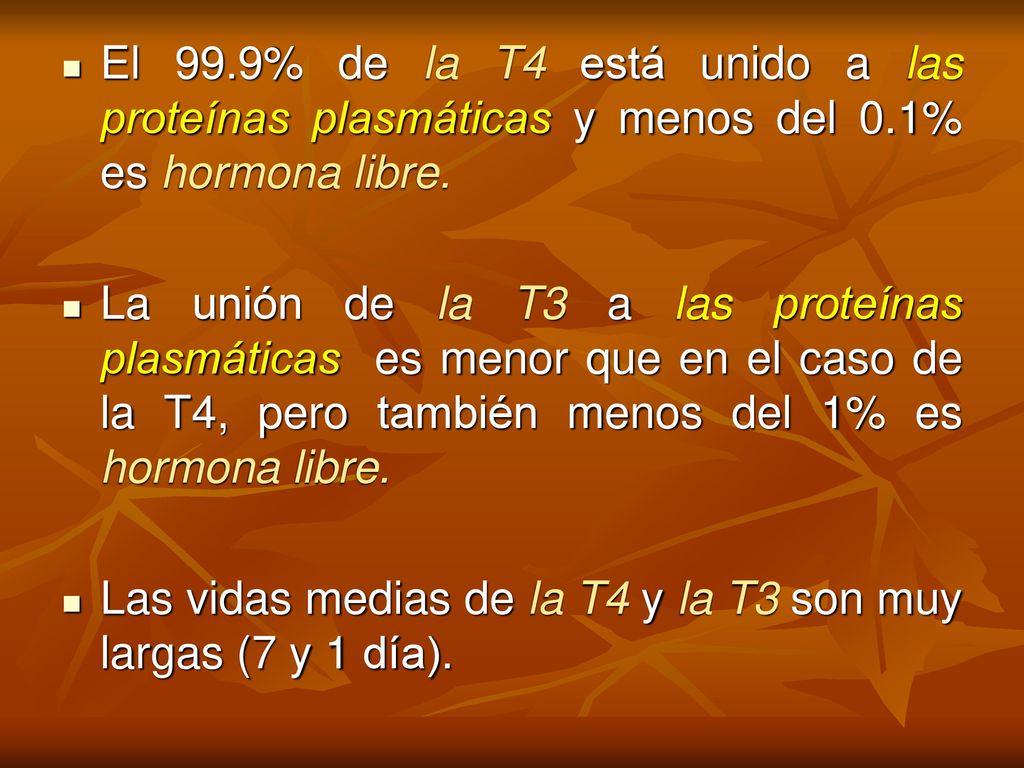 El 99.9% de la T4 está unido a las proteínas plasmáticas y menos del 0.1% es hormona libre.