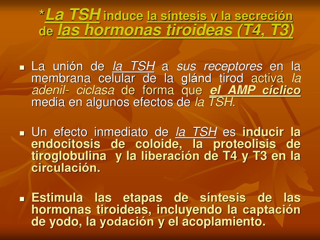 *La TSH induce la síntesis y la secreción de las hormonas tiroideas (T4, T3)