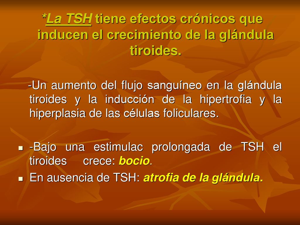 *La TSH tiene efectos crónicos que inducen el crecimiento de la glándula tiroides.