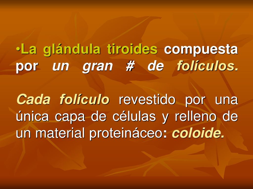 La glándula tiroides compuesta por un gran # de folículos