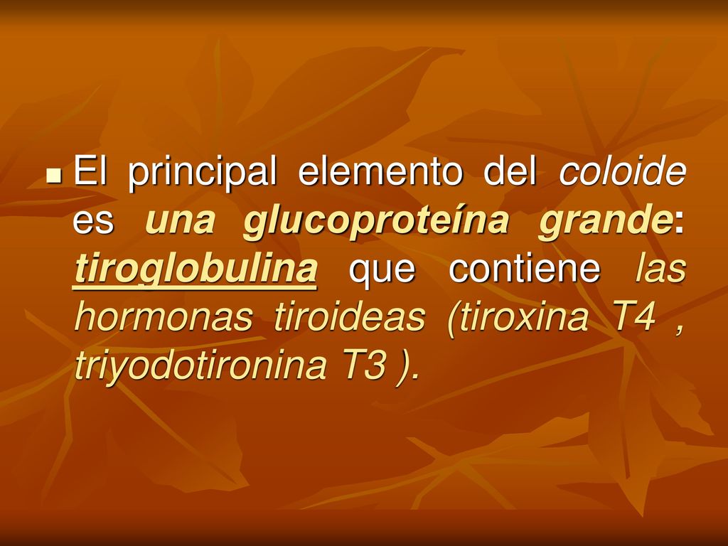 El principal elemento del coloide es una glucoproteína grande: tiroglobulina que contiene las hormonas tiroideas (tiroxina T4 , triyodotironina T3 ).