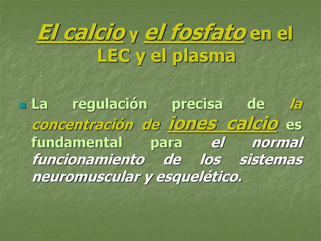 El calcio y el fosfato en el LEC y el plasma
