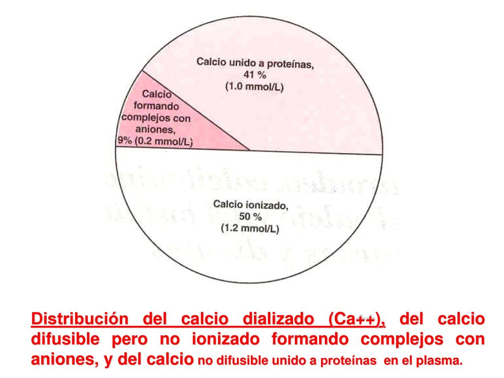 Distribución del calcio dializado (Ca++), del calcio difusible pero no ionizado formando complejos con aniones, y del calcio no difusible unido a proteínas en el plasma.