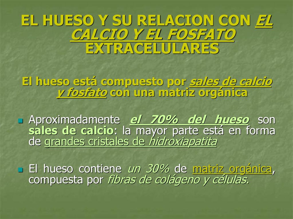 EL HUESO Y SU RELACION CON EL CALCIO Y EL FOSFATO EXTRACELULARES