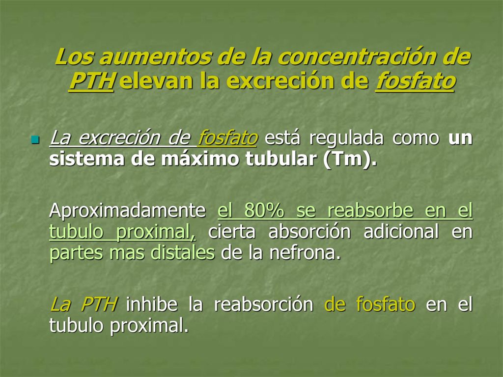 Los aumentos de la concentración de PTH elevan la excreción de fosfato