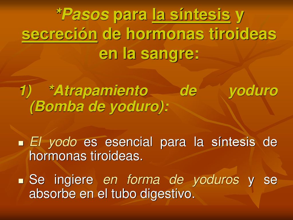 *Pasos para la síntesis y secreción de hormonas tiroideas en la sangre: