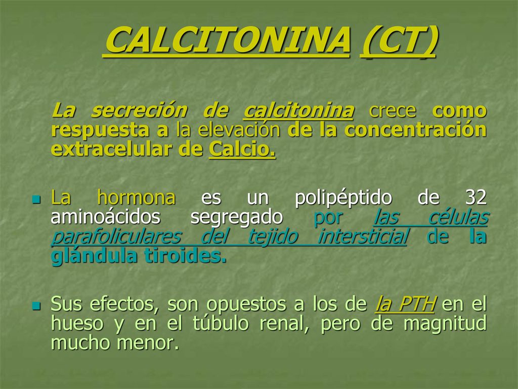 CALCITONINA (CT) La secreción de calcitonina crece como respuesta a la elevación de la concentración extracelular de Calcio.