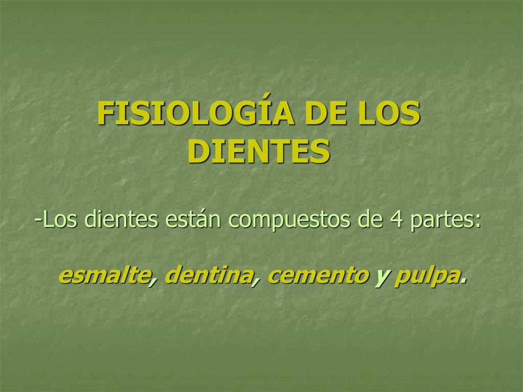 FISIOLOGÍA DE LOS DIENTES -Los dientes están compuestos de 4 partes: esmalte, dentina, cemento y pulpa.