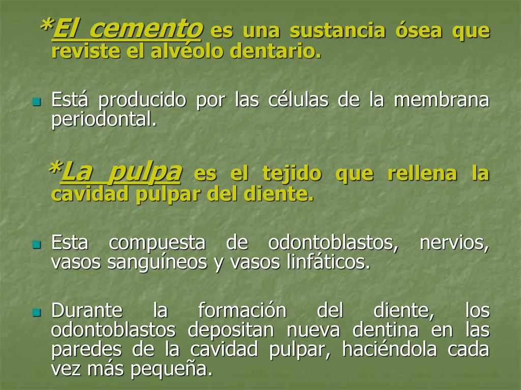 Está producido por las células de la membrana periodontal.