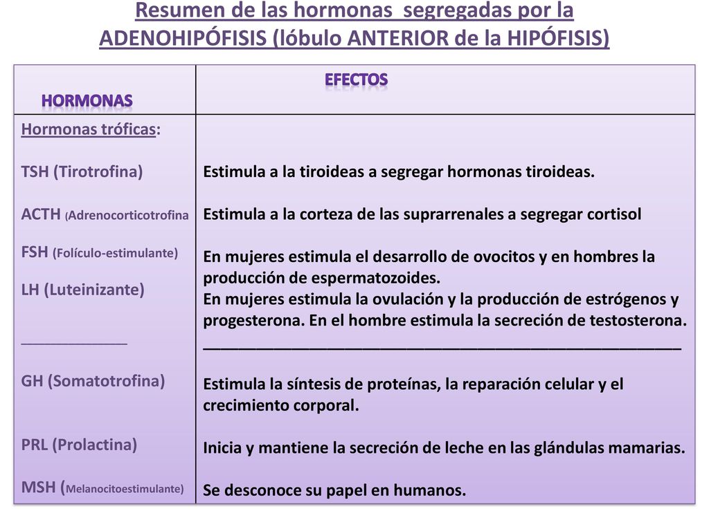 Resumen de las hormonas segregadas por la ADENOHIPÓFISIS (lóbulo ANTERIOR de la HIPÓFISIS)