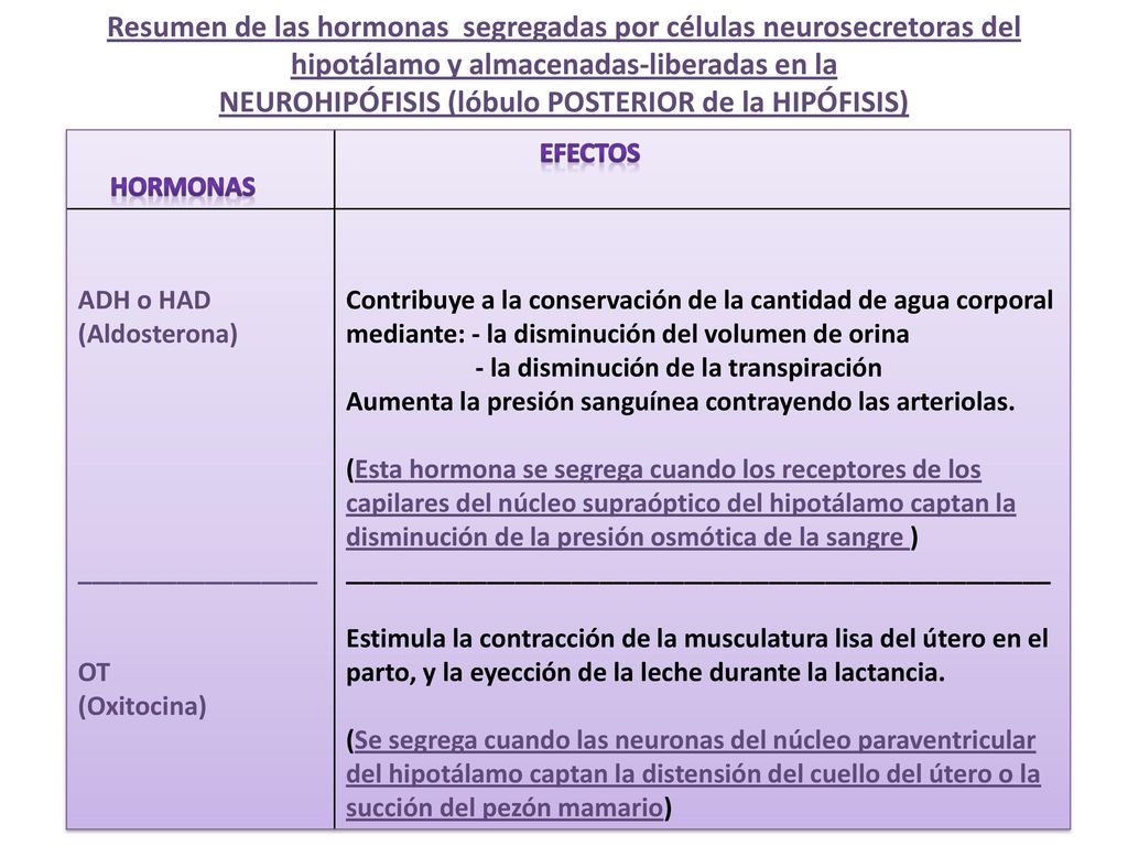 Resumen de las hormonas segregadas por células neurosecretoras del hipotálamo y almacenadas-liberadas en la NEUROHIPÓFISIS (lóbulo POSTERIOR de la HIPÓFISIS)