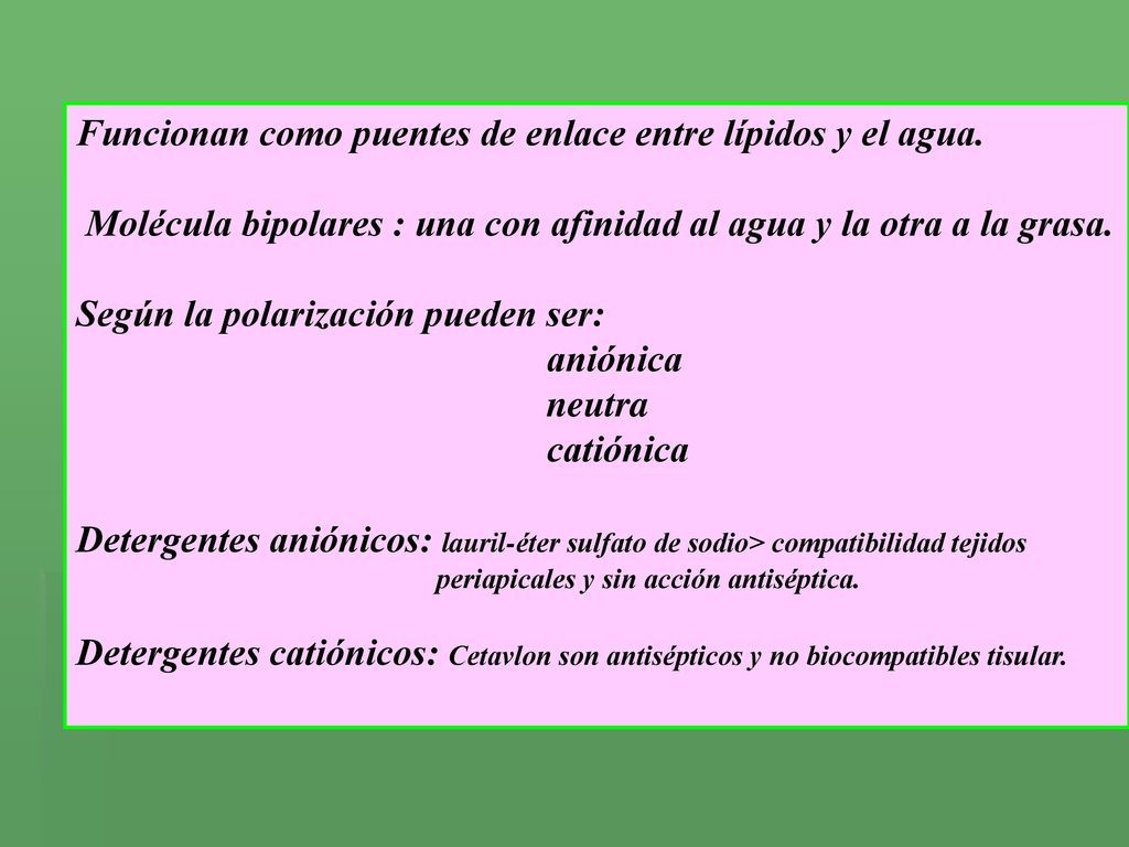 Funcionan como puentes de enlace entre lípidos y el agua.