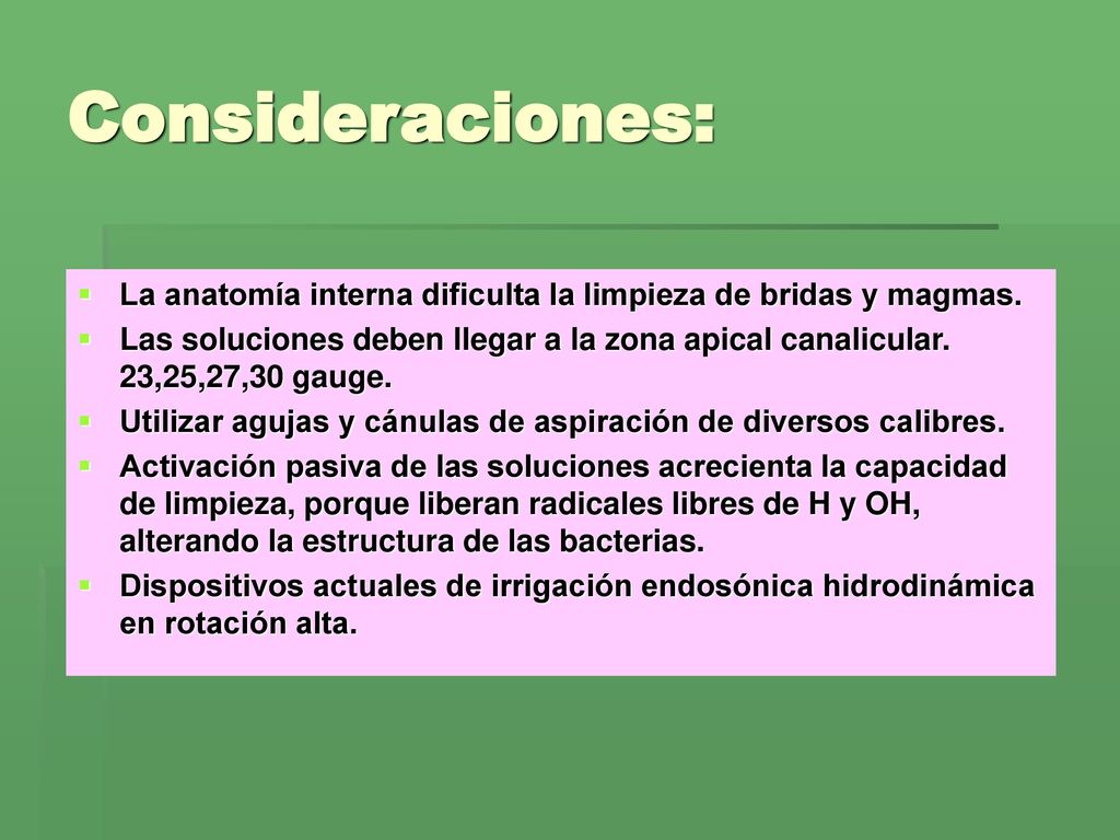 Consideraciones: La anatomía interna dificulta la limpieza de bridas y magmas.