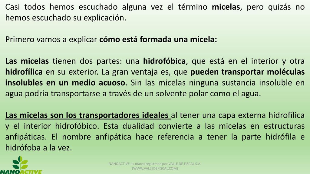 Primero vamos a explicar cómo está formada una micela: