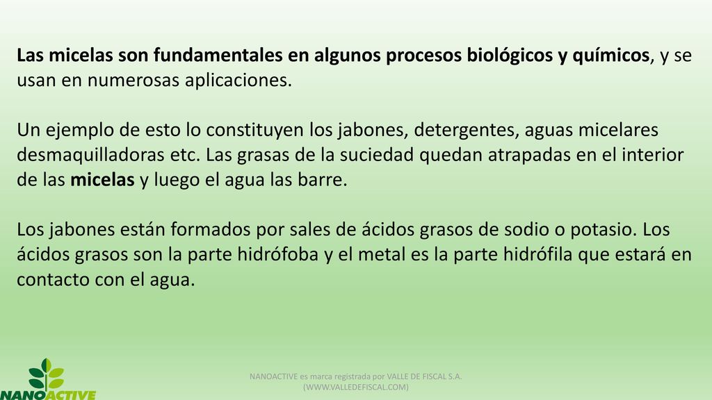 Las micelas son fundamentales en algunos procesos biológicos y químicos, y se usan en numerosas aplicaciones.
