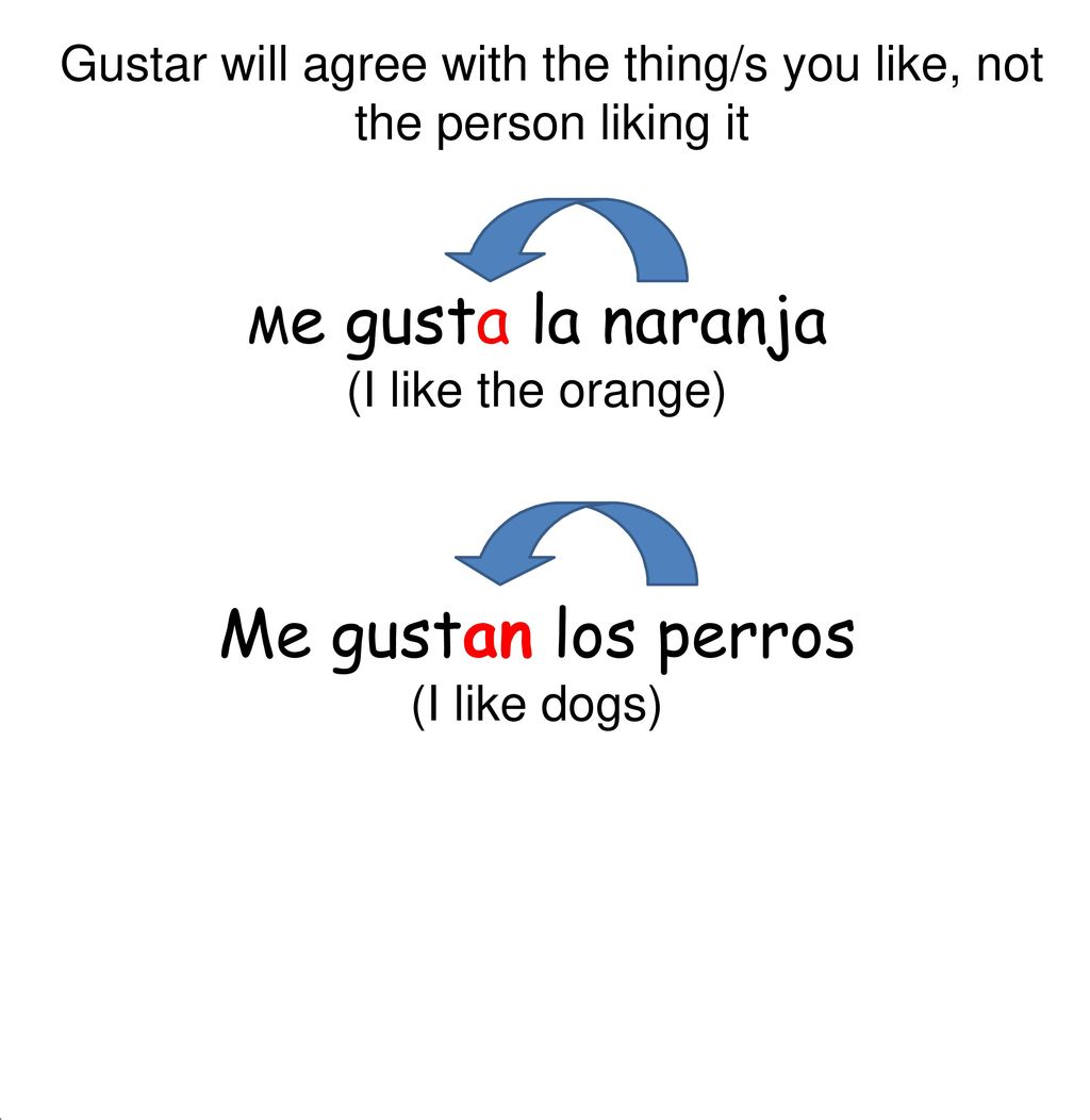 Gustar will agree with the thing/s you like, not the person liking it