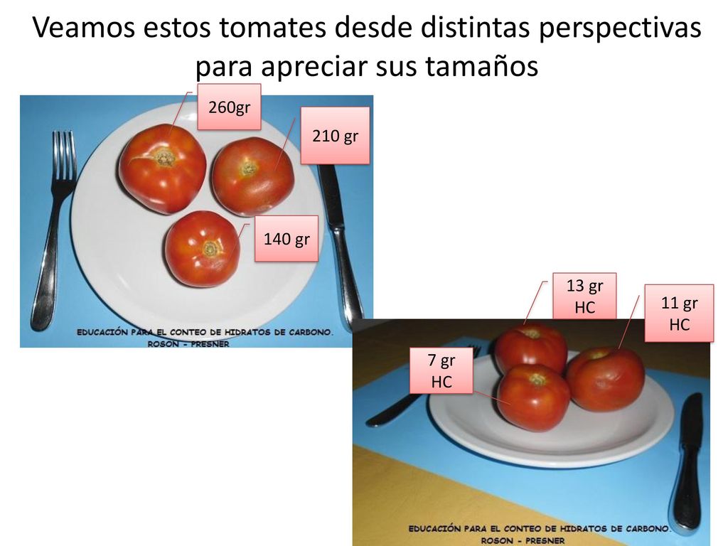 Veamos estos tomates desde distintas perspectivas para apreciar sus tamaños