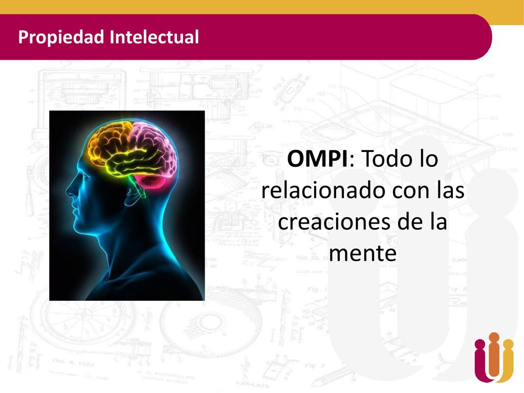 OMPI: Todo lo relacionado con las creaciones de la mente