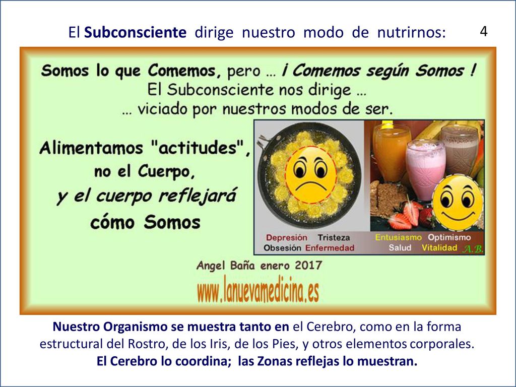 El Cerebro lo coordina; las Zonas reflejas lo muestran.