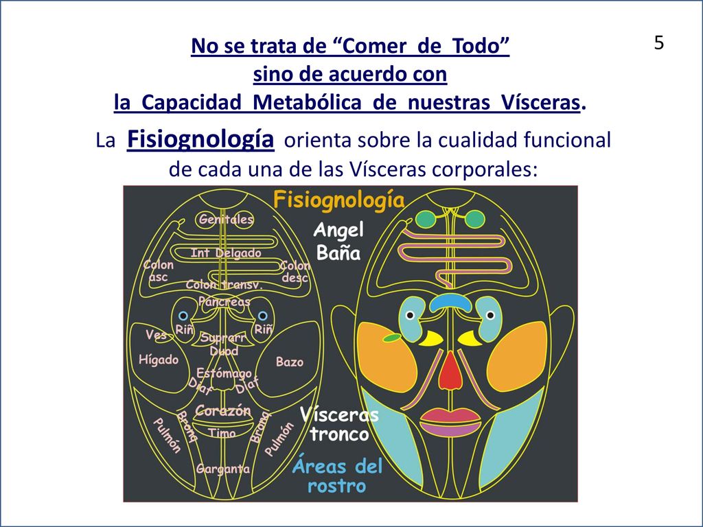 No se trata de Comer de Todo sino de acuerdo con