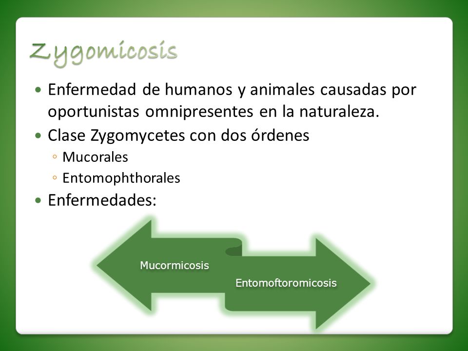 Zygomicosis Enfermedad de humanos y animales causadas por oportunistas omnipresentes en la naturaleza.