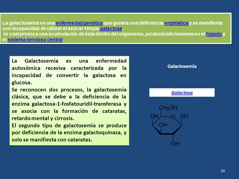 La galactosemia es una enfermedad genética que genera una deficiencia enzimática y se manifiesta