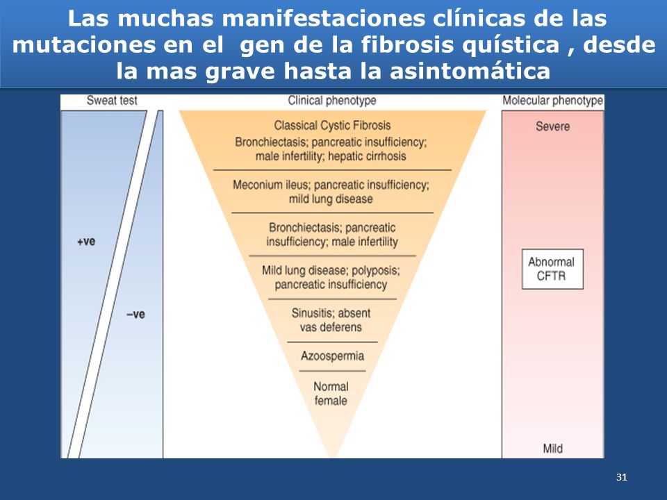 Las muchas manifestaciones clínicas de las mutaciones en el gen de la fibrosis quística , desde la mas grave hasta la asintomática