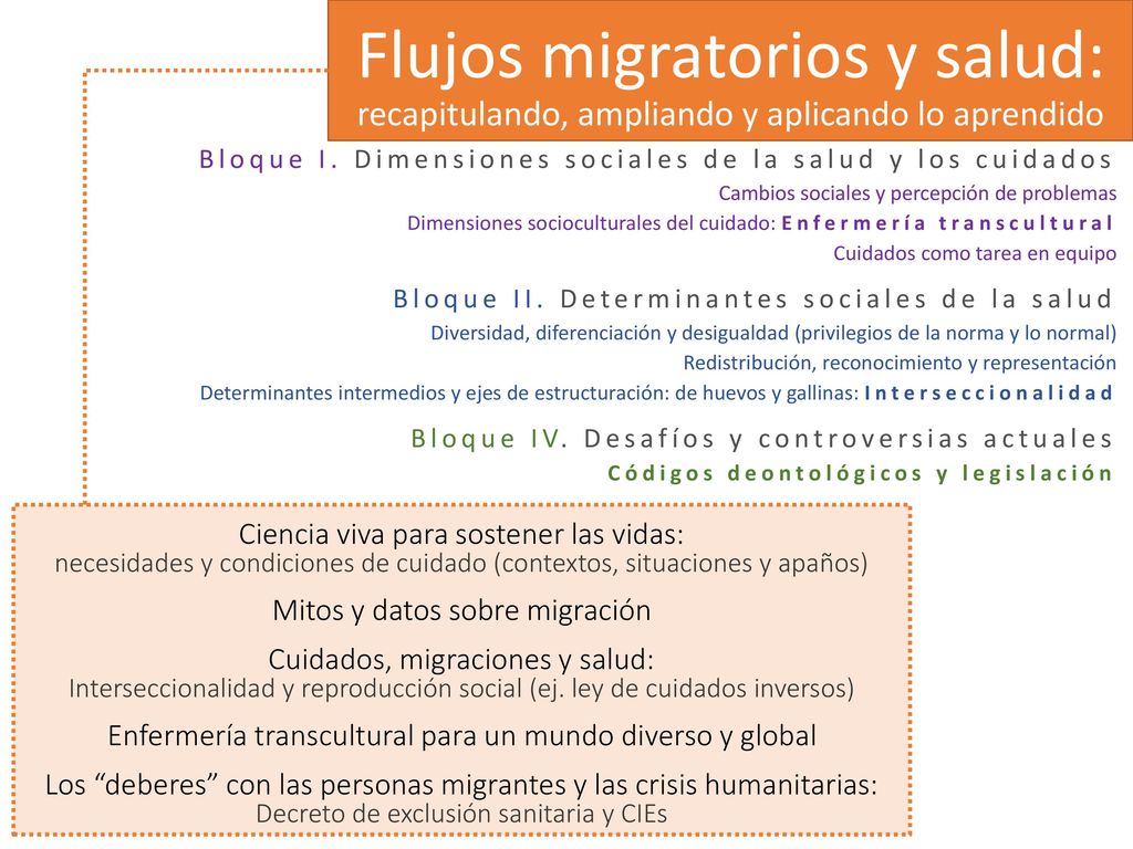 Flujos migratorios y salud: recapitulando, ampliando y aplicando lo aprendido