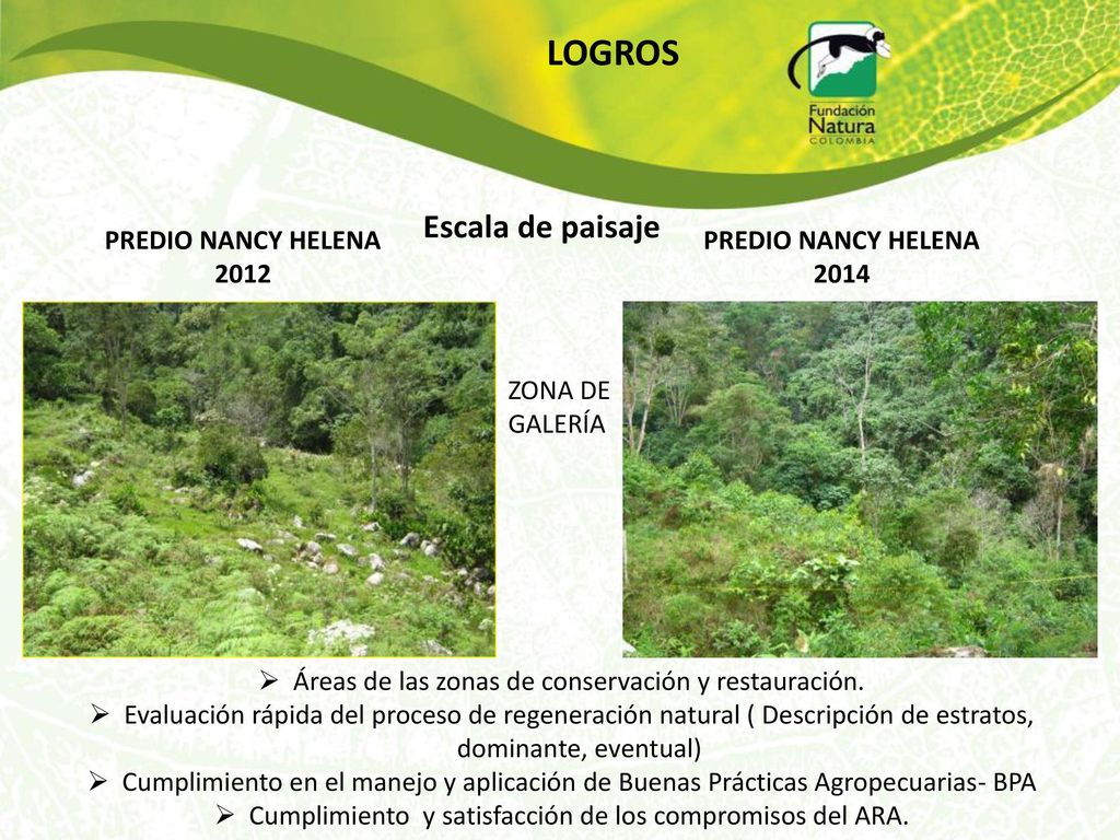 LOGROS Escala de paisaje PREDIO NANCY HELENA 2012 PREDIO NANCY HELENA
