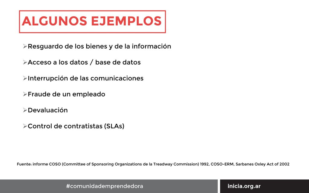 ALGUNOS EJEMPLOS Resguardo de los bienes y de la información