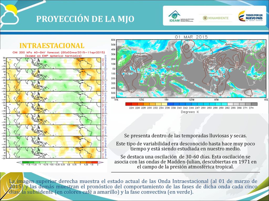 Se presenta dentro de las temporadas lluviosas y secas.