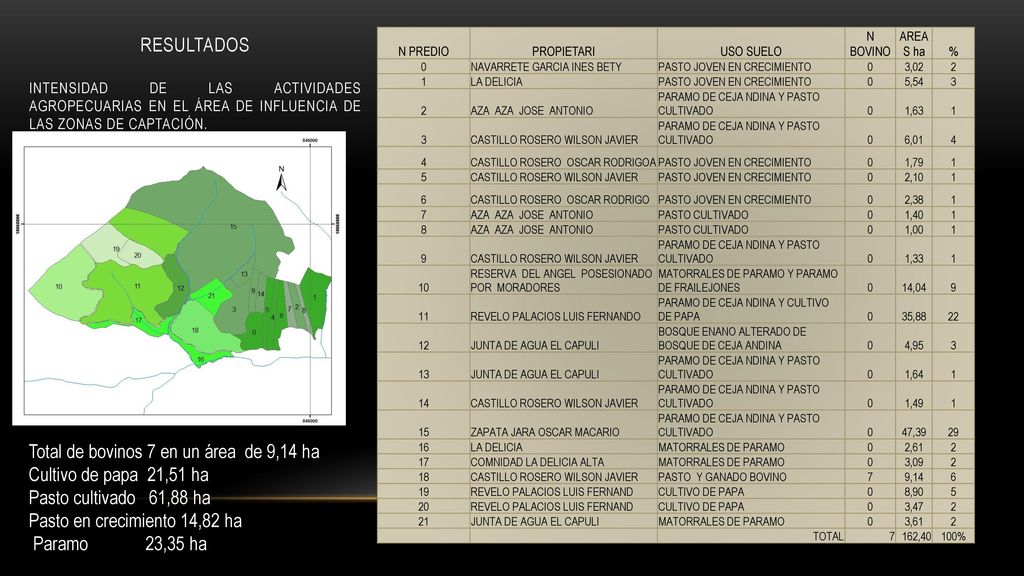Total de bovinos 7 en un área de 9,14 ha Cultivo de papa 21,51 ha