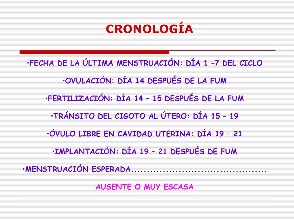 CRONOLOGÍA FECHA DE LA ÚLTIMA MENSTRUACIÓN: DÍA 1 –7 DEL CICLO