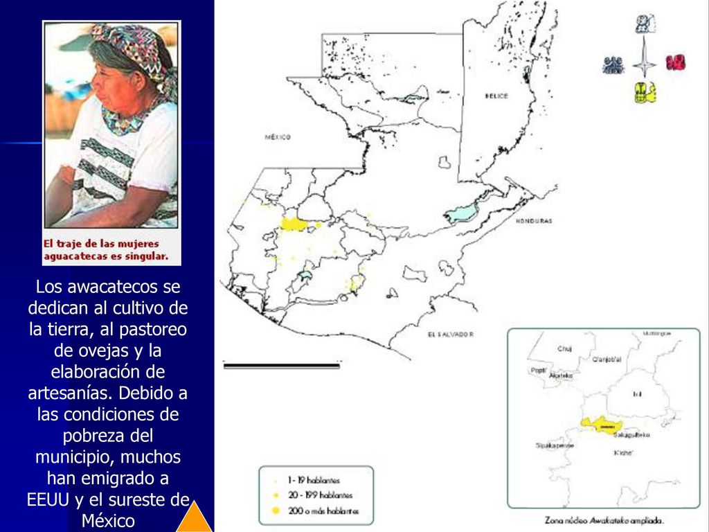 Los awacatecos se dedican al cultivo de la tierra, al pastoreo de ovejas y la elaboración de artesanías.