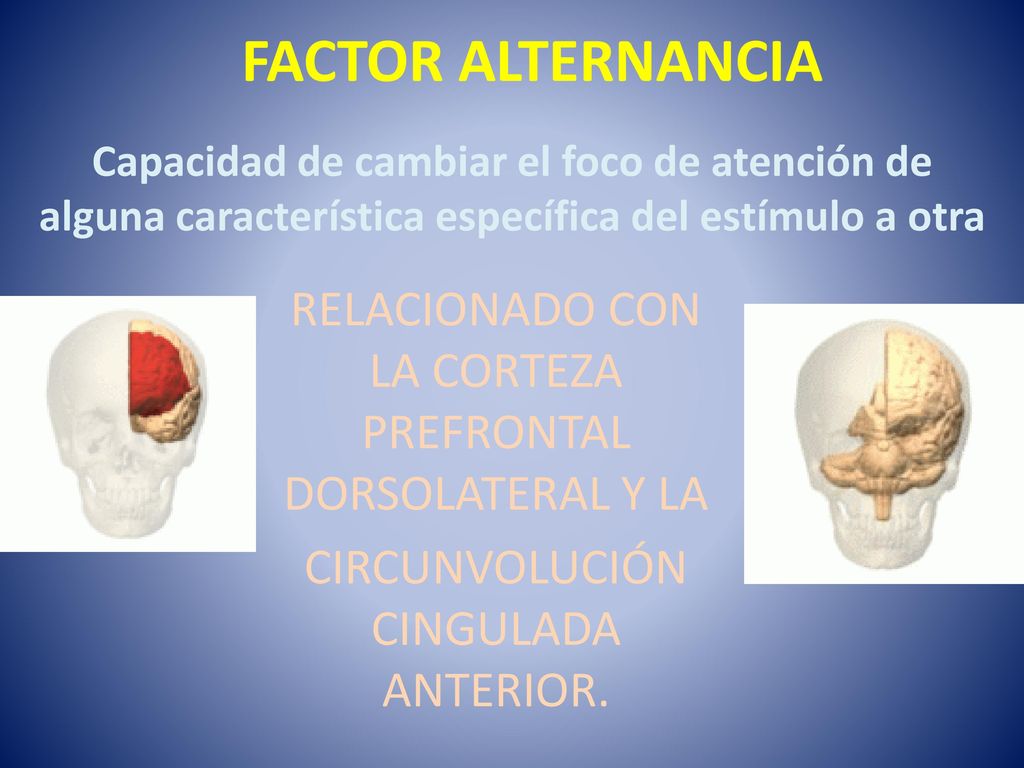 FACTOR ALTERNANCIA Capacidad de cambiar el foco de atención de alguna característica específica del estímulo a otra.