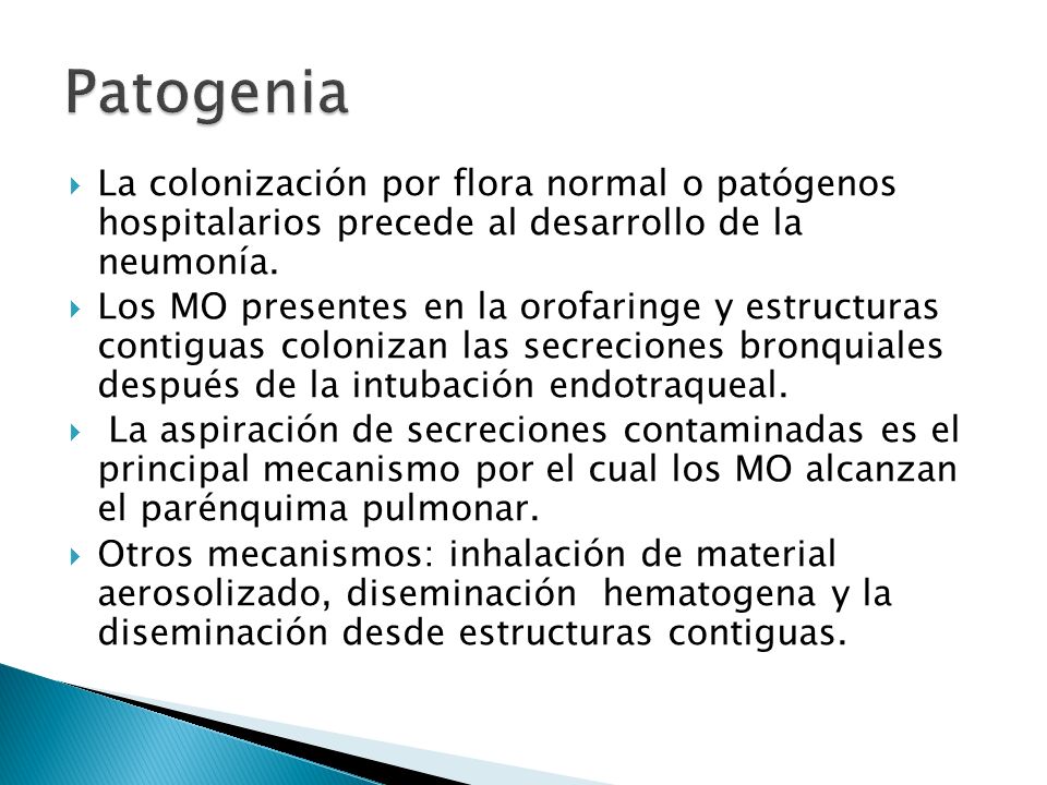 Patogenia La colonización por flora normal o patógenos hospitalarios precede al desarrollo de la neumonía.