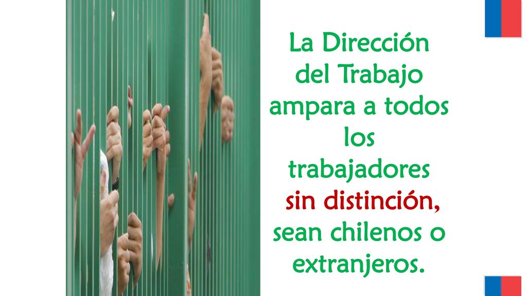La Dirección del Trabajo ampara a todos los trabajadores
