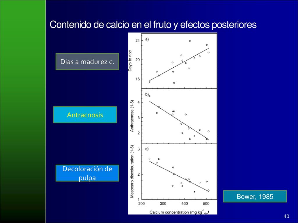 Contenido de calcio en el fruto y efectos posteriores