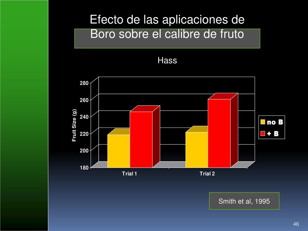 Efecto de las aplicaciones de Boro sobre el calibre de fruto