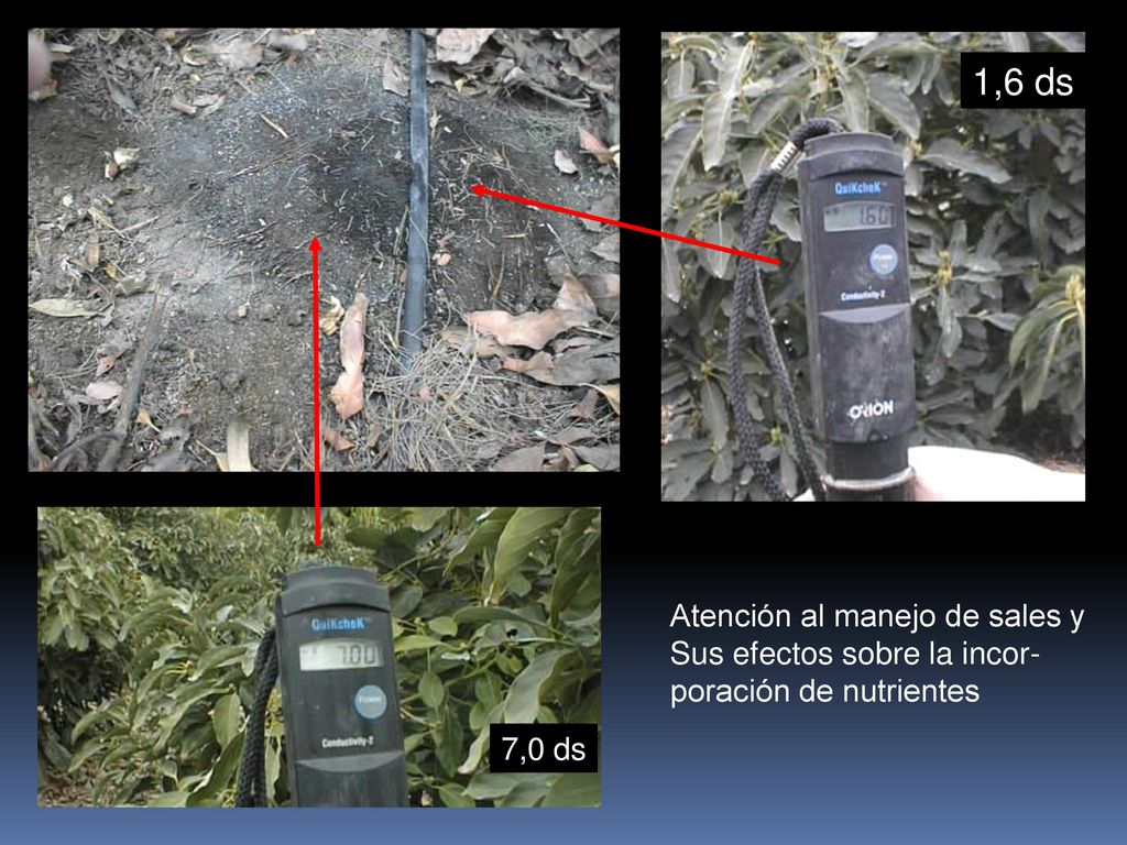 1,6 ds Atención al manejo de sales y Sus efectos sobre la incor-