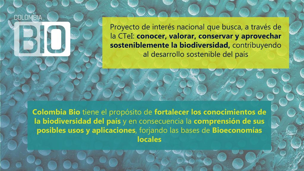 Proyecto de interés nacional que busca, a través de la CTeI: conocer, valorar, conservar y aprovechar sosteniblemente la biodiversidad, contribuyendo al desarrollo sostenible del país