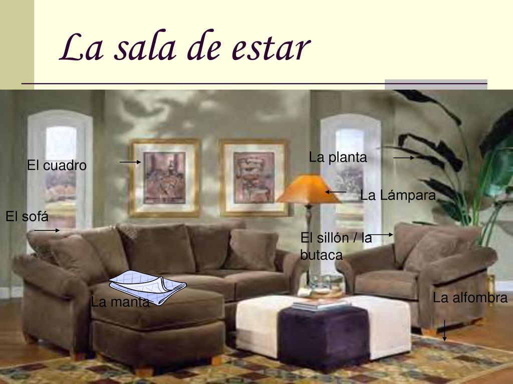 La sala de estar La planta El cuadro La Lámpara El sofá