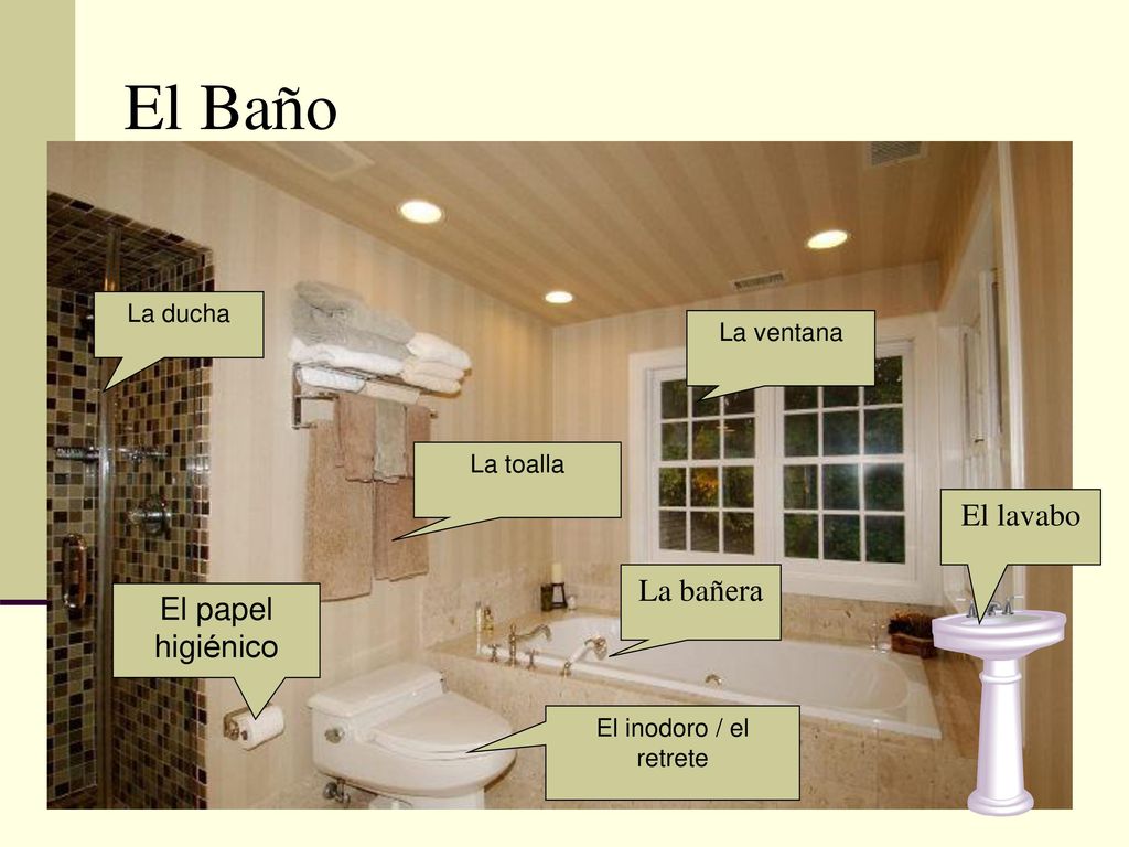 El Baño El lavabo La bañera El papel higiénico La ducha La ventana
