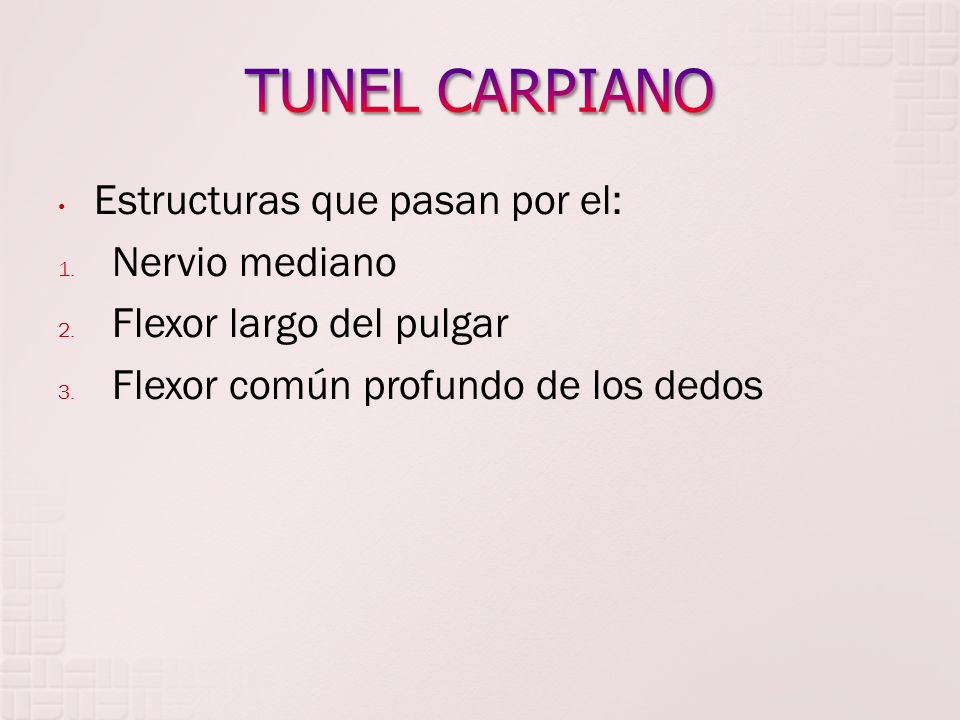 TUNEL CARPIANO Estructuras que pasan por el: Nervio mediano