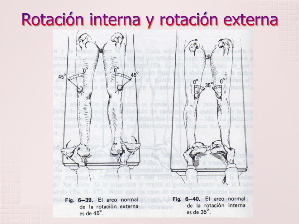 Rotación interna y rotación externa